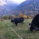 Thyon 4pieces, Proche Des Pistes Heremence