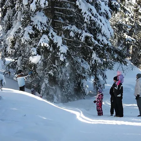 Дом отдыха Thyon 4pieces, Magnifique Vue Heremence