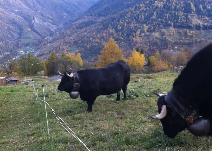 Thyon 4pieces, Proche Des Pistes Heremence