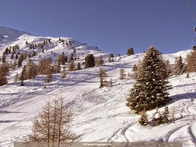 Holiday home Thyon 4pieces, Proche Des Pistes