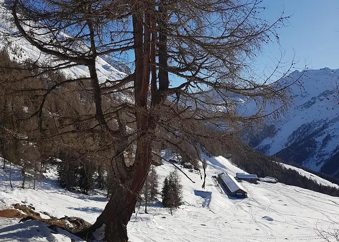 Vakantiehuis Thyon 4pieces, Proche Des Pistes Hérémence
