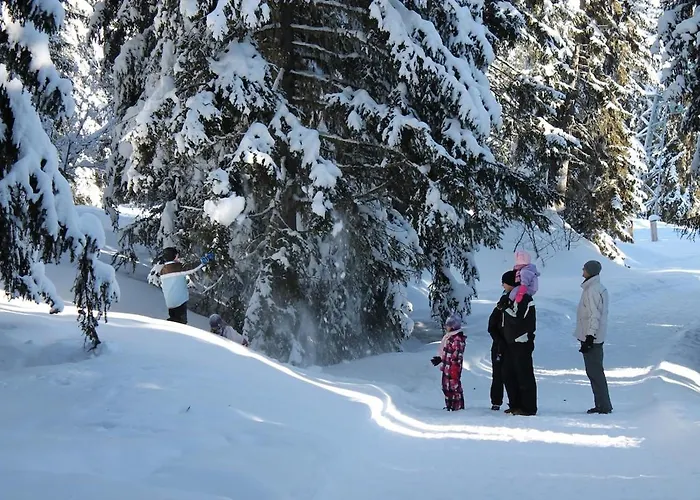 Vakantiehuis Thyon 4pieces, Proche Des Pistes Hérémence