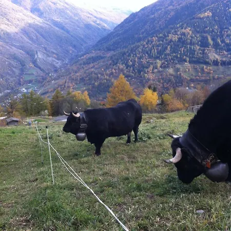 Thyon 4pieces, Proche Des Pistes Heremence